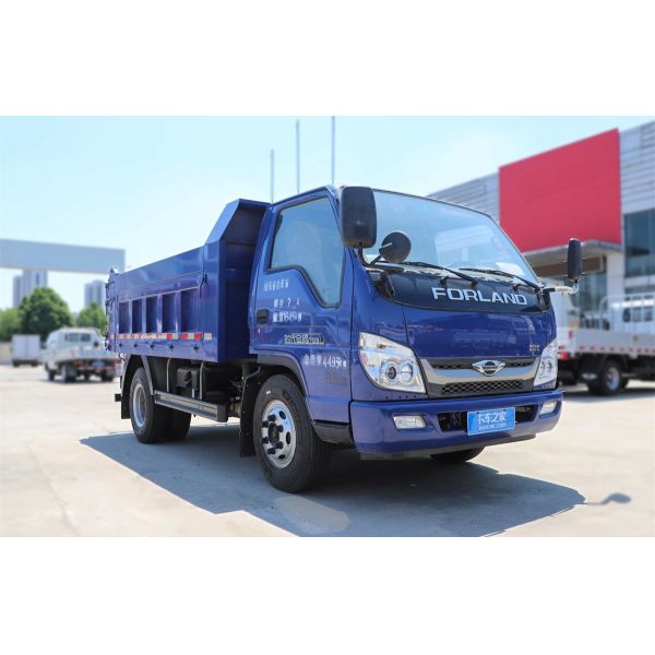 Foton 115 Horsepower 4X2 3.3M Cargo Box 3.3*1.9*0.8m Dump Truck (National&EU From One to Six)for Transporting Cargo Goods