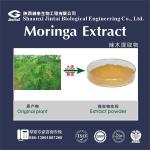 100% water soluble 10:1 organic moringa extract
