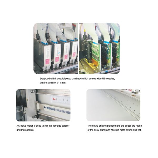 Automatic ECO Solvent Large Format Printer For Back - Lit Film