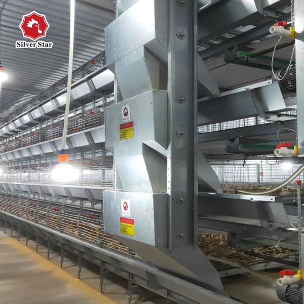 Hot-Dipped Galvanized Steel Fully Automatic Broiler Cage System with 3 or 4 Tiers for Poultry Farming