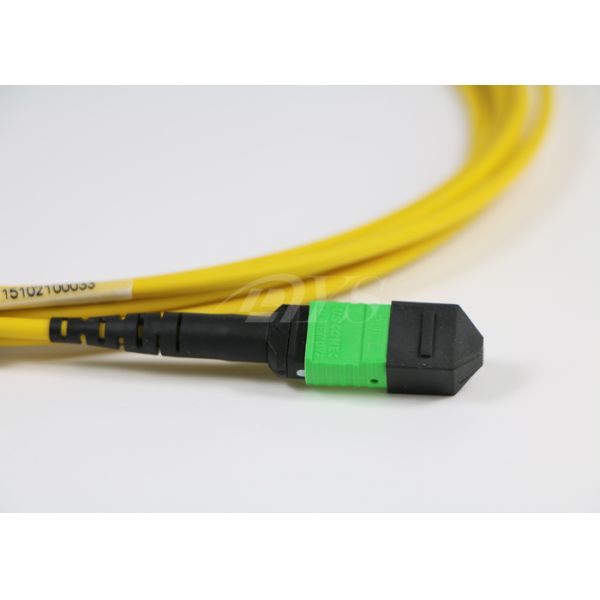 24 Core MPO/MTP 3.0mm 3M Cable Optical Fiber Patch Cord Round Fiber Cable Type