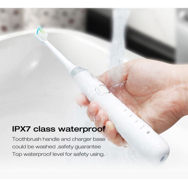 Waterproof IPX7 Low Noise Sonic Electric Toothbrush with Four Smart Working Patterns