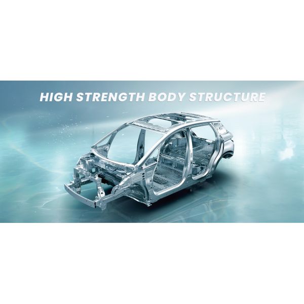 AWD BYD Dolphins EV All Electric Vehicle PHEV Custom