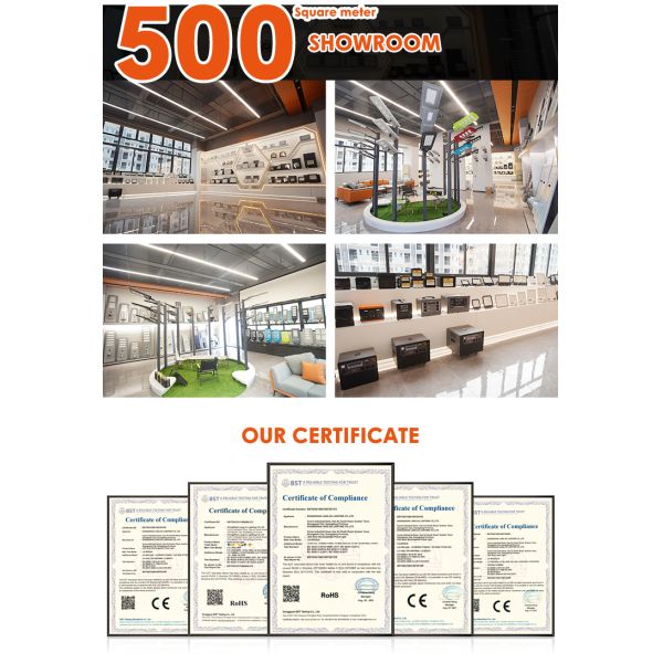 Aluminum Solar Landscape Lights With Pure White Color Temperature And Solar Panel