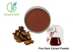 China Free Sample French Maritime Pine Bark Extract Powder For Treat Heart Diseases on sale