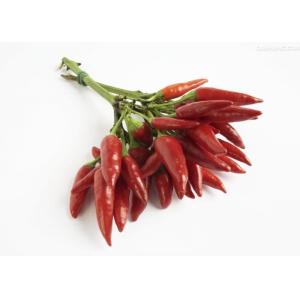 Wholesale Non Irradiated Mild Dried Red Chilies Stemmed Chili Pods Zero Additive from china suppliers