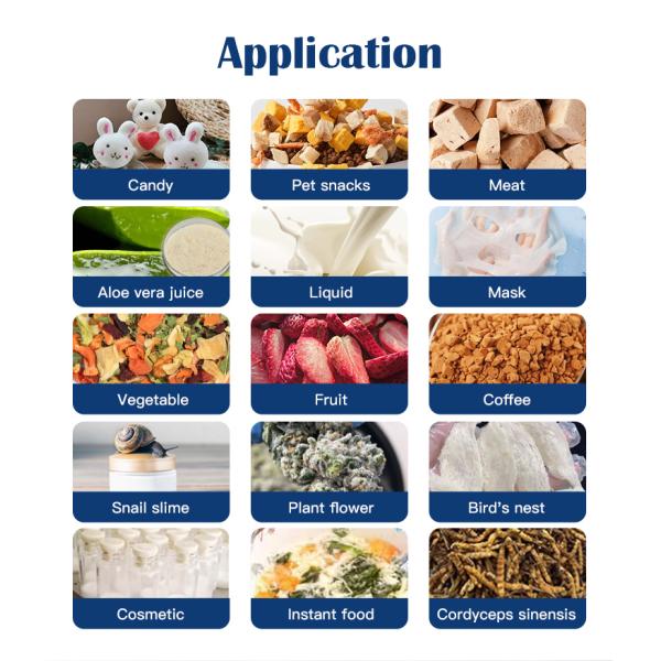 Lanphan Freeze Drying Equipment Commercial Freeze Dryer Machine for Okra Strawberry Yogurt