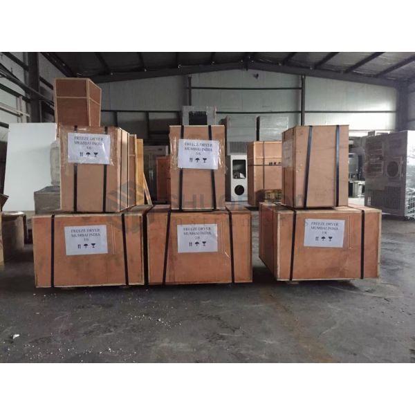 Shelf Heating Laboratory Freeze Dryer 6kg/24 Hours 0.18 - 0.27m2 Programmable