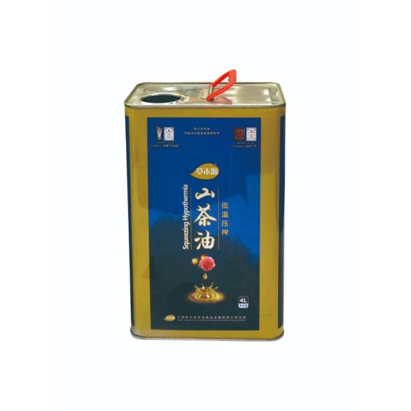 DADI 5L Food Oil Can 5000ml Square Empty Olive Oil Can Rectangle Shape Tinplate Material for Food Industrial