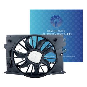 Built In Fused Auto Car Electric Radiator Cooling Fans For W211 C219