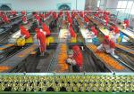 Plastic Cup Canned Food Production Line , Fruit And Vegetable Processing