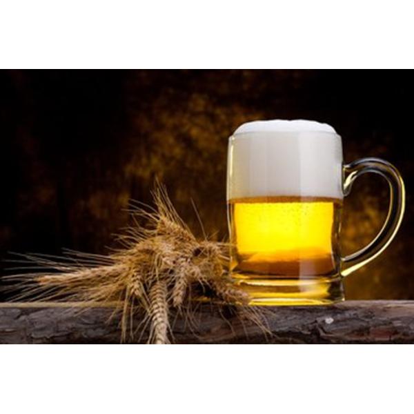 Special Design Milk and Cream Centrifugal Separator Machine Beer Separator / Clarifier