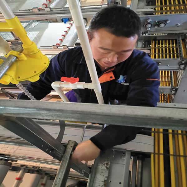 Hot Dip Galvanized Steel Fully Automatic Vertical H Type Multitier Chicken Egg Laying Cage