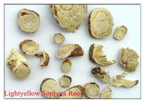 Lightyellow Sophora Root .Kuh-seng,RADIX SOPHORAE FLAVESCENTIS