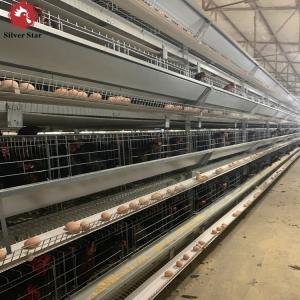 China H Type Quail Layer Chicken Cage Chicken Egg 10 Tiers on sale