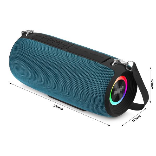 Portable 10W Hi-Fi Bluetooth Speaker, Delivering Powerful Crystal Clear Sound For TV Projector Cellphone