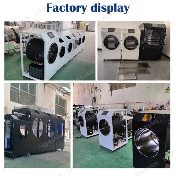 Lanphan Freeze Drying Equipment Commercial Freeze Dryer Machine for Okra Strawberry Yogurt