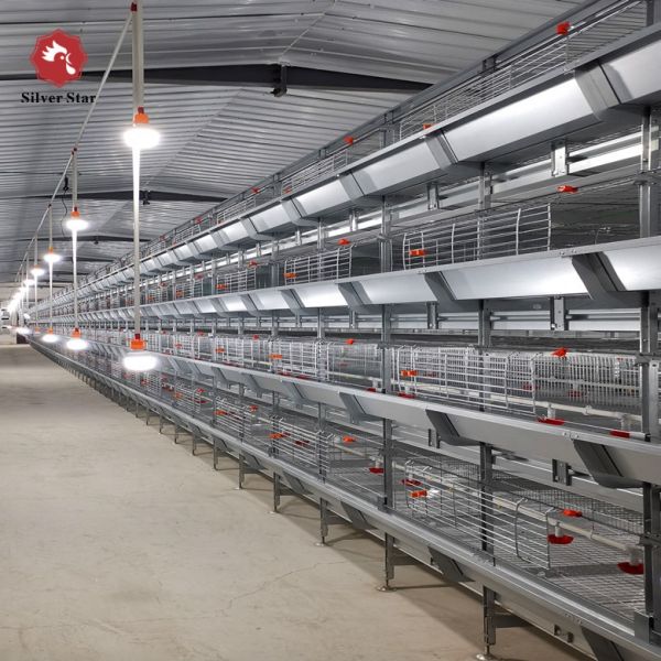 Hot-Dipped Galvanized Steel Fully Automatic Broiler Cage System with 3 or 4 Tiers for Poultry Farming