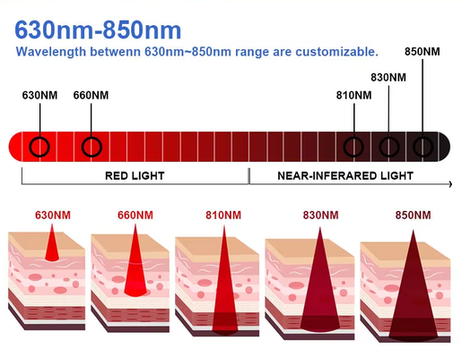 HSY-PET2001 Custom Pet Joint Red Light Therapy Wrap