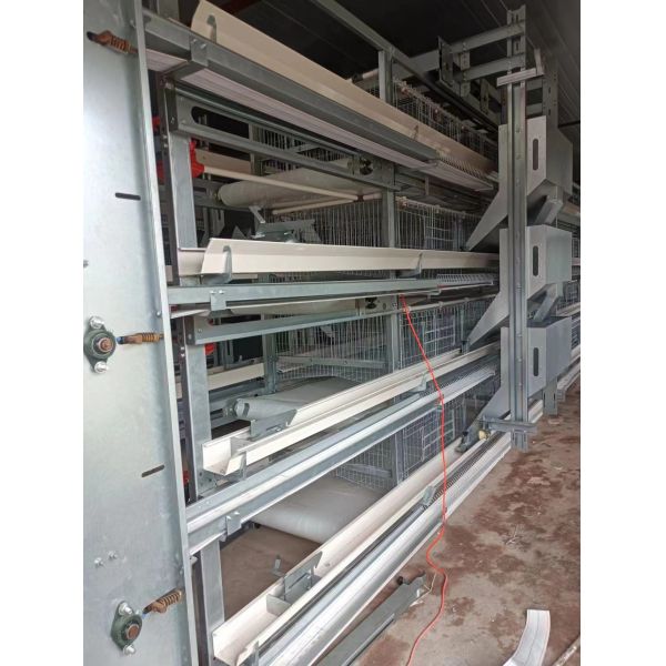 Hot-Dip Galvanized Layer Cage System with Multi-Tier Design and Automatic Feeding Machine for Poultry Farming