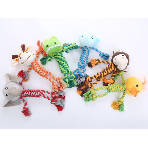 dog chew toy