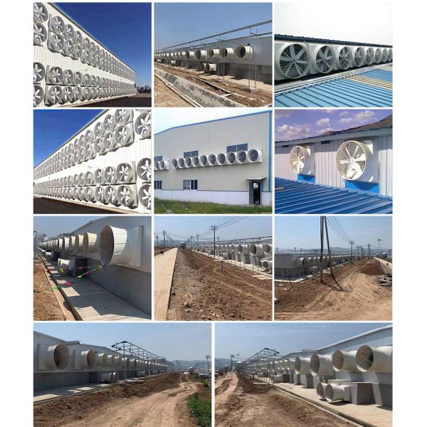 Source Factory Automatic Ventilation Louvers Fiberglass Fan /frp Exhaust Fan With Factory Price in China