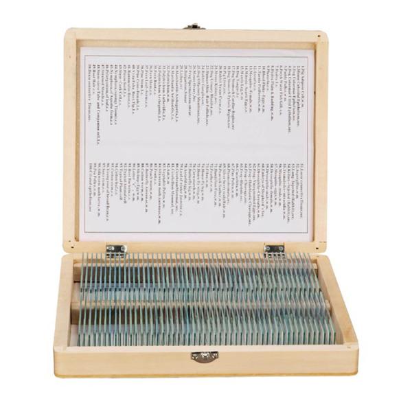 Prepared Higher Education 100pcs Microscope Slides Set For Students