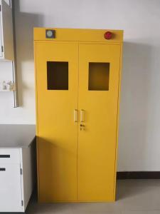 Galvanized Steel Lab Storage Cabinet Laboratory Furniture Gas Cupboard Steel Gas Cylinder Cabinet 900x450x1800mm