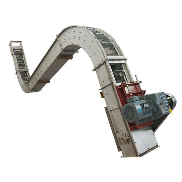 OEM Custom Grain Coal Ash Chip Embedded Scraper Transporter Conveyor