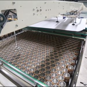 Fully Automatic Empty Can/Bottle Unloading Machine