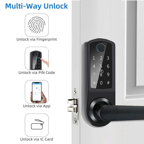 DC6V AA App Controlled Door Locks Biometric Fingerprint 180mm Length