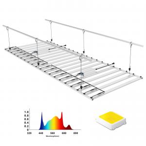 Wholesale Large Grow Space Commercial LED Grow Light Driver Reomvable Balance Heat Dissipation from china suppliers