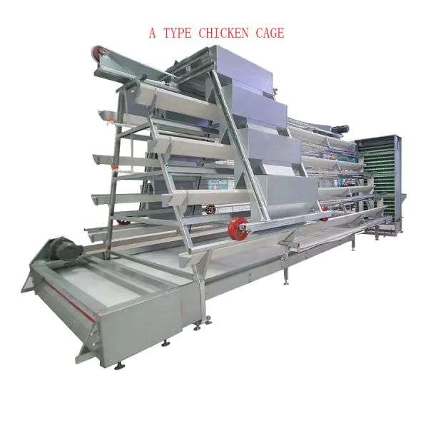 Full Automatic H-Type Layer Chicken Cage with Hot Dip Galvanized Drinkers and Feeders for Poultry Farm