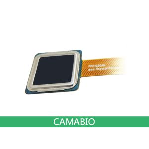 CAMA-AFM31 Embedded Capacitive Fingerprint Authentication Module With FPC1020