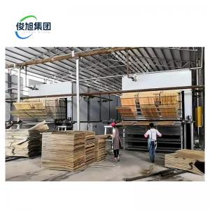 Wholesale 22.0 kW Wood Veneer Dryer The Perfect Solution for Wood Chip Drying Efficiency from china suppliers