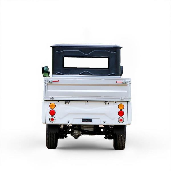 Electric Vehicle with Cargo for 2 Passengers Loading Goods