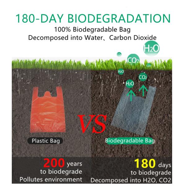 Custom 100 Biodegradable Plastic Bags Recyclable Plastic Take Away Bags