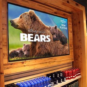 Wholesale Front Service 16 Bits AC100V - 240V Rental LED Display from china suppliers