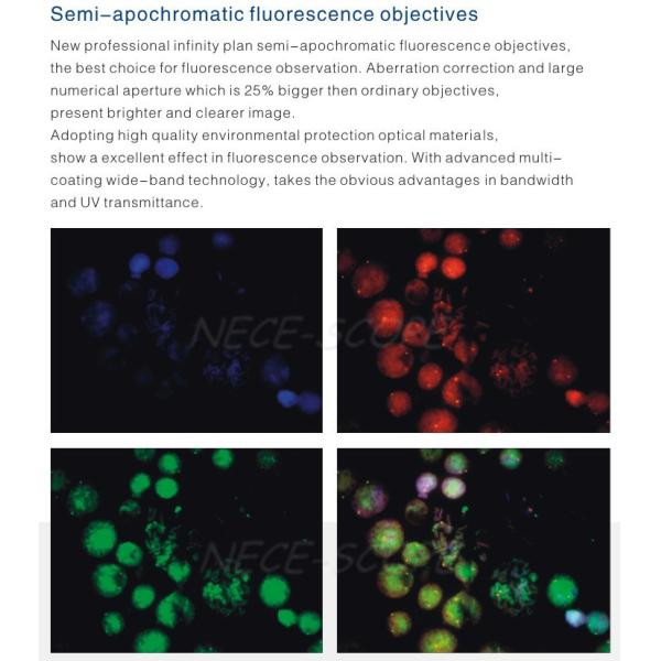 Portable Digital Fluorescent Light Microscope Color Corrected PL10 X 22mm