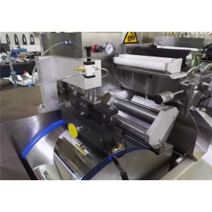 Servo Motor Professional Paintball Encapsulation Machine 1 Year Warranty