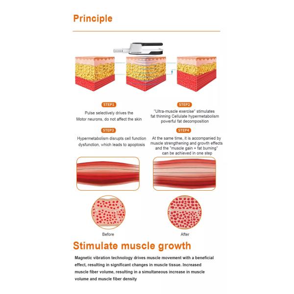 Neo Rf Two Handle Muscle Stimulator , Machine