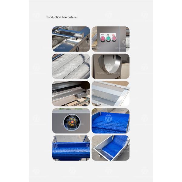 1.5 Tons / Hour Fruit And Vegetable Processing Line Root Brush Washing