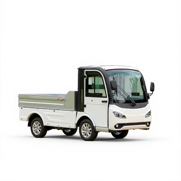 Electric Vehicle with Cargo for 2 Passengers Loading Goods