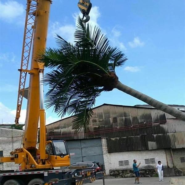 Artificial Palm Tree Trunks 4g Antenna Mast