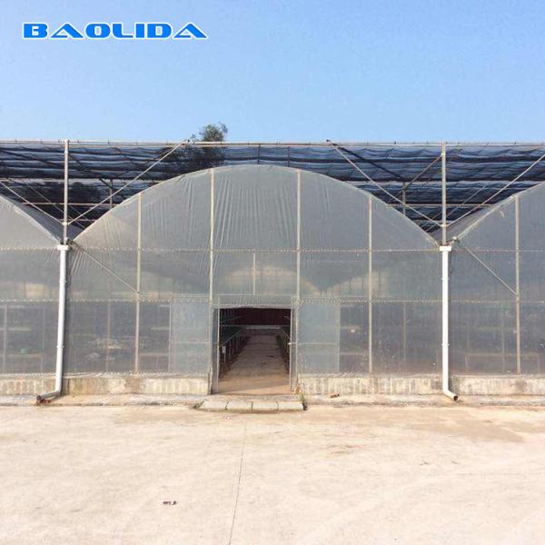 Agriculture Poly Tech Greenhouse Cultivation Or Breeding Easy To Construct