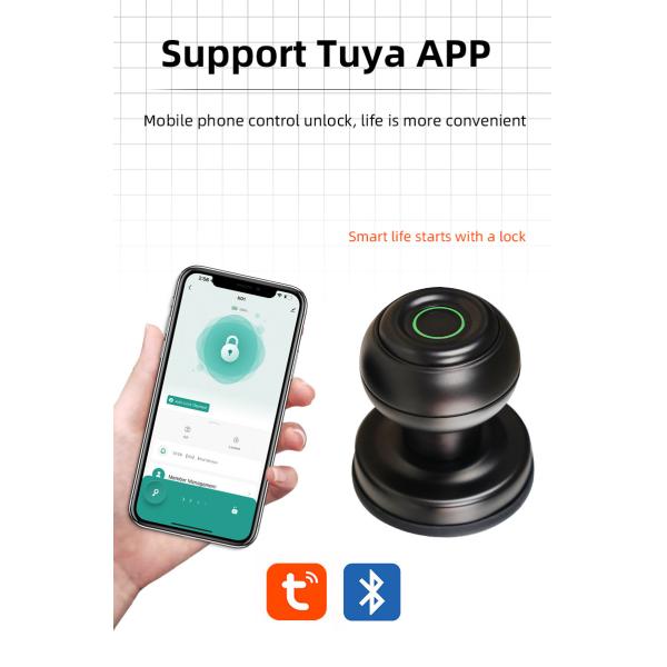 Biometric Fingerprint Door Knob Smart Lock Black Bluetooth House Lock