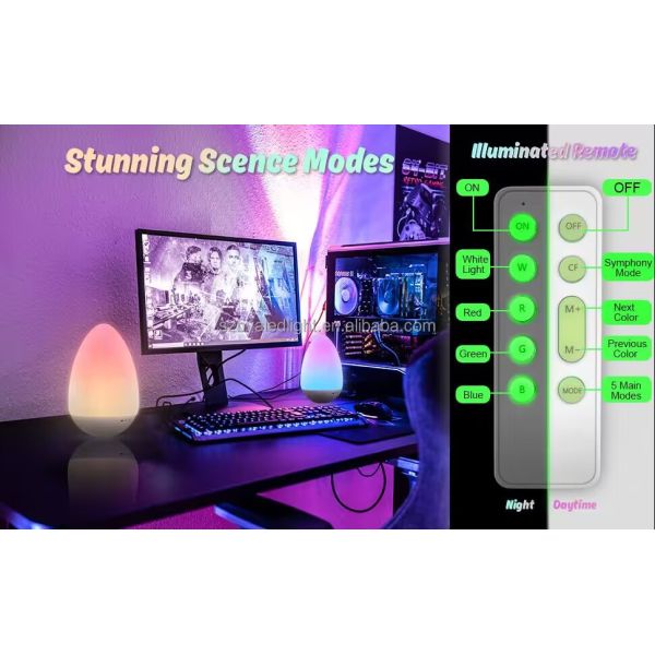 Remote Control Dimmable Portable Table Lamp with 2700K Warm White LED Mood Lighting