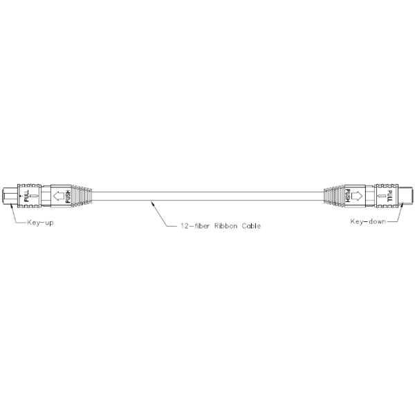 50 Meters Single Mode MTP MPO Cable - Customizable Length Fiber Optic Jumping Cable