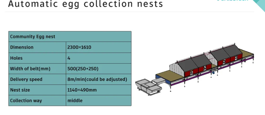 Customizable Broiler Flat Rearing Equipment with Steel Frame, Natural and Artificial Lighting Options, and Wind and Rain Resistance for Large Poultry