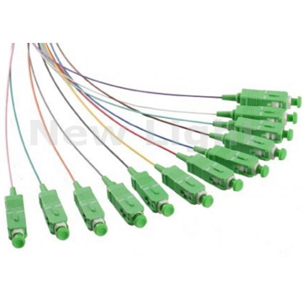 1 Meter Single Mode SC APC 12 Core Fiber Optic Pigtail for High-Speed Data Transmission